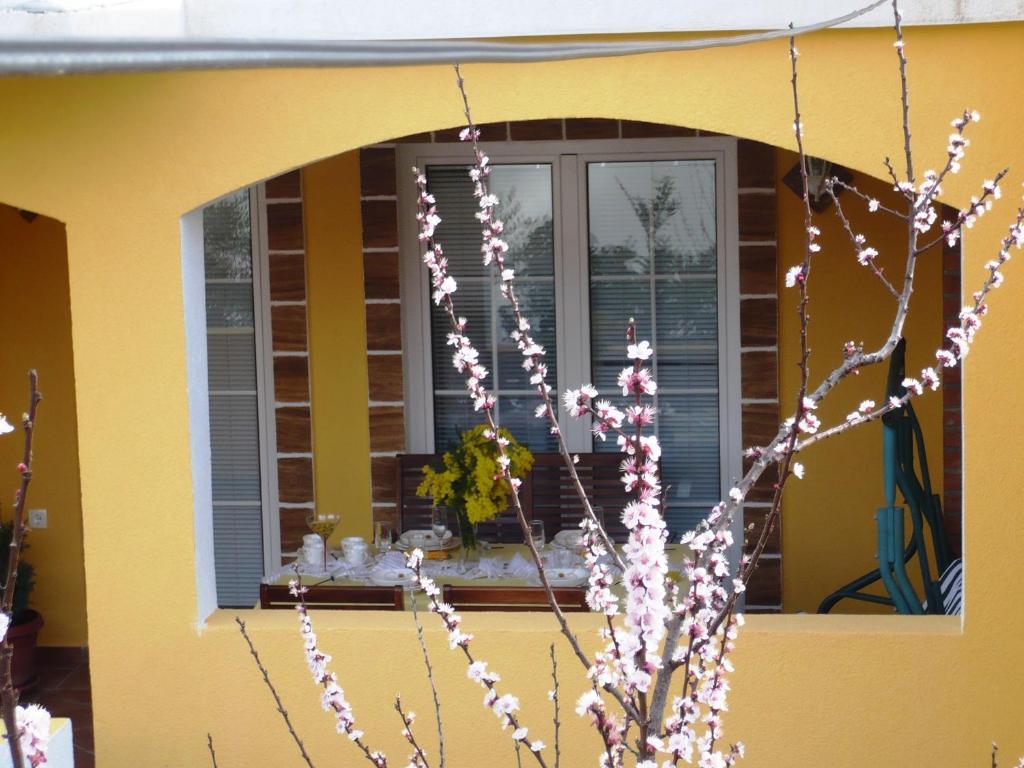 Apartments Brac Supetar Phòng bức ảnh