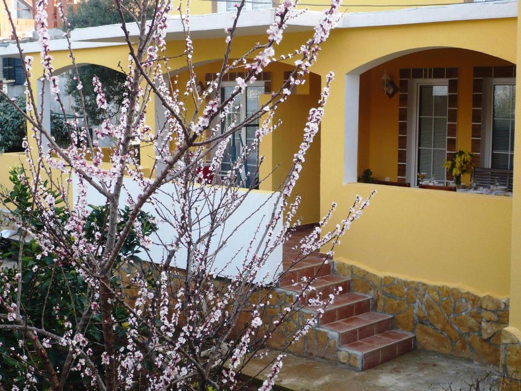 Apartments Brac Supetar Ngoại thất bức ảnh